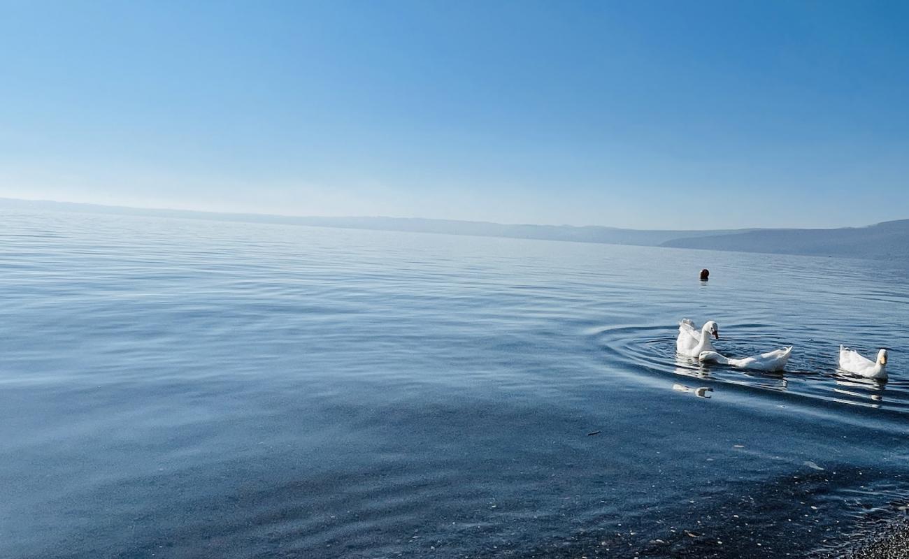 Foto af Spiaggia Cani Trevignano med grå fin sten overflade