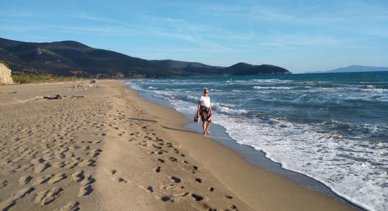 Spiaggia di Collelungo