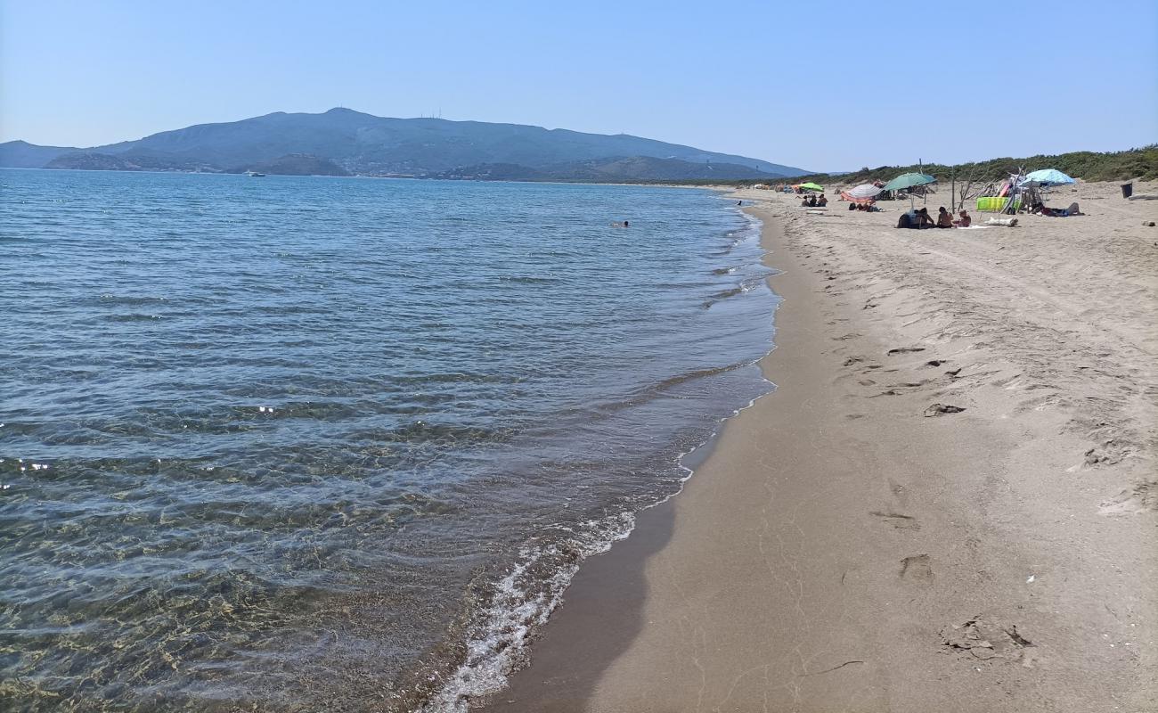 Foto af Feniglia Strand med lys sand overflade