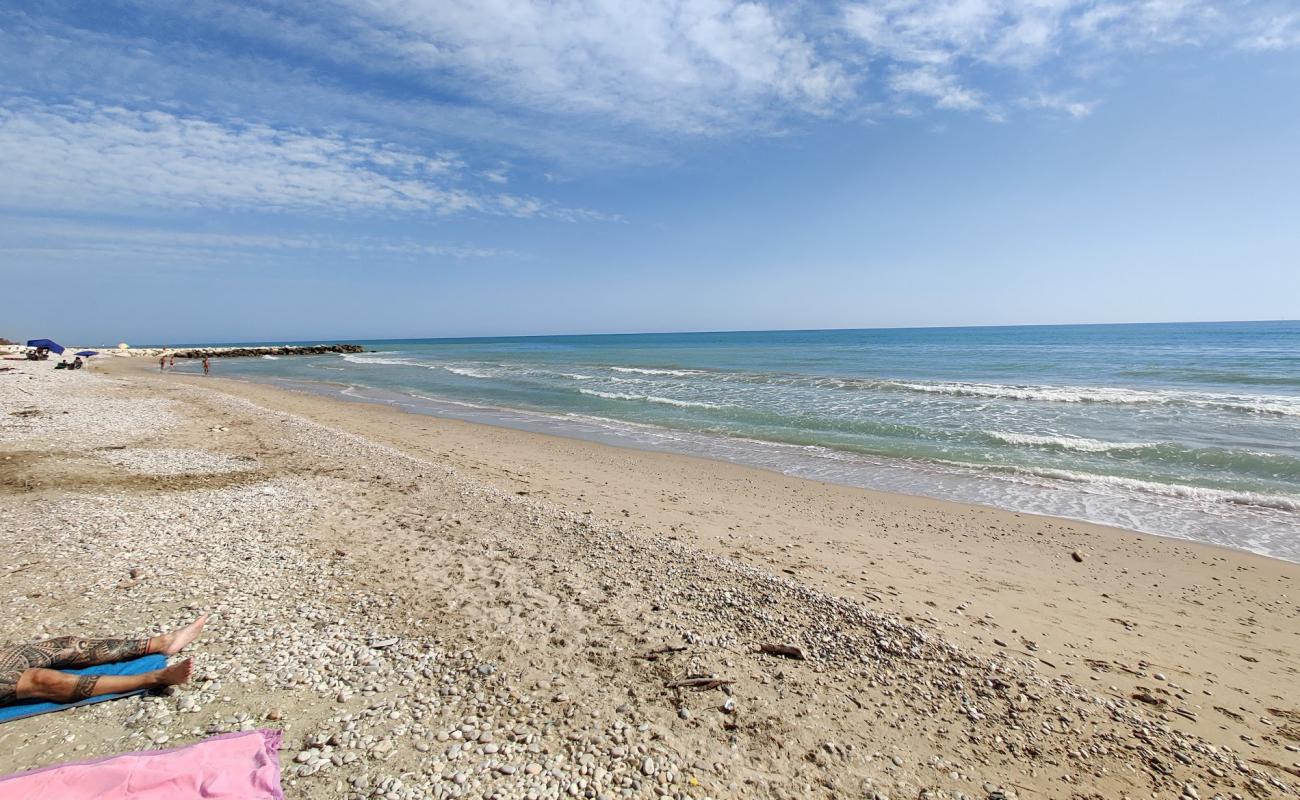 Foto af Spiaggia Pineto med let sand og småsten overflade