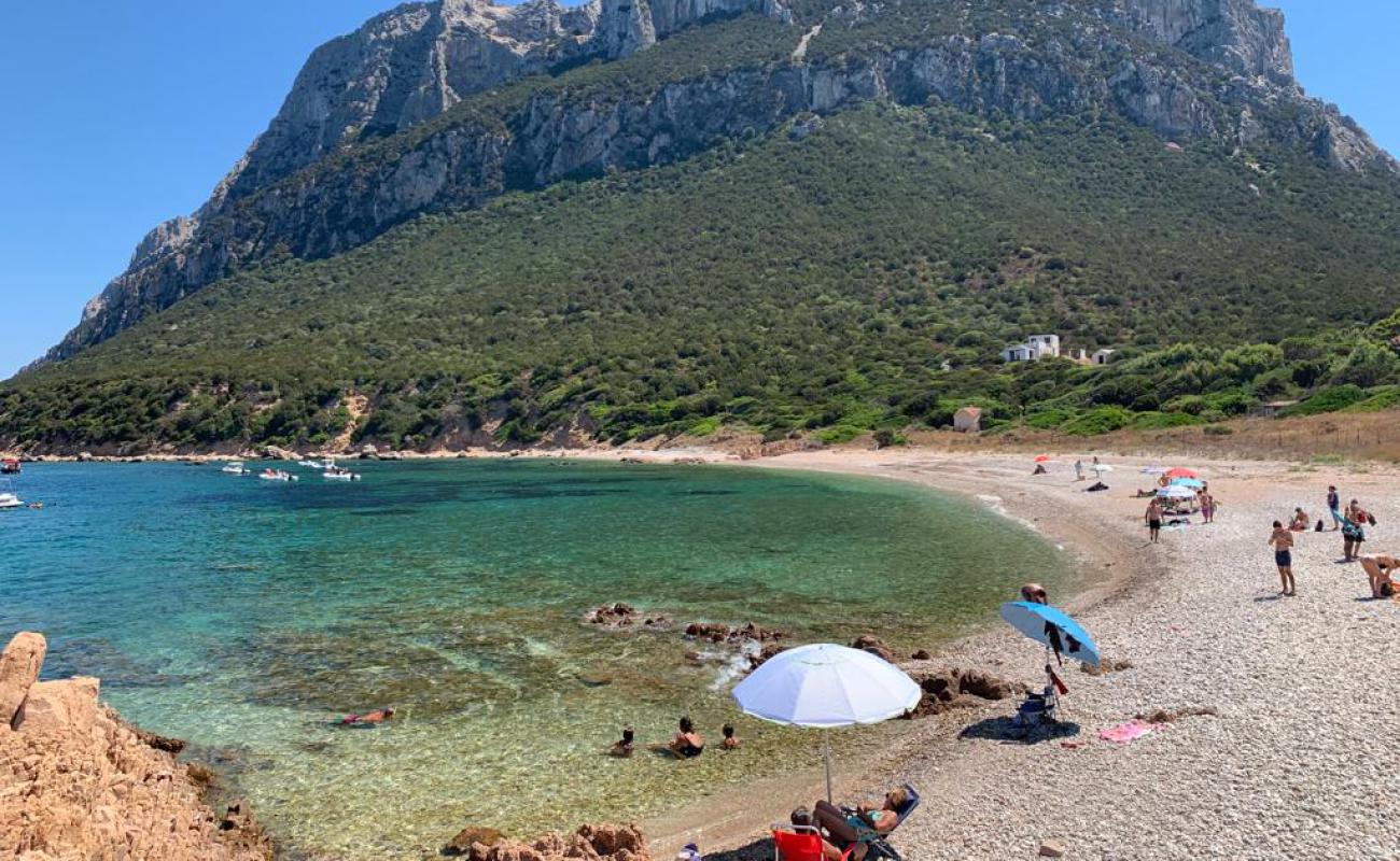 Foto af Spiaggia di Cala Tramontana med let sten overflade