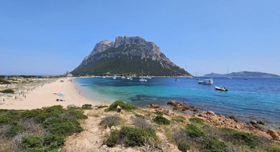 Spiaggia Spalmatore di Terra