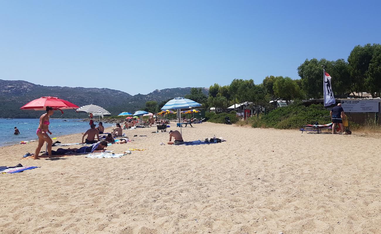 Foto af Spiaggia Degli Svedesi med lys sand overflade