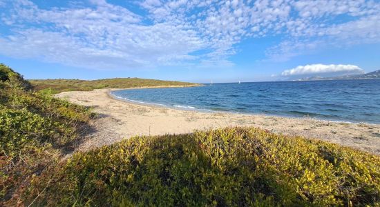 Spiaggia della Vecchia Dogana