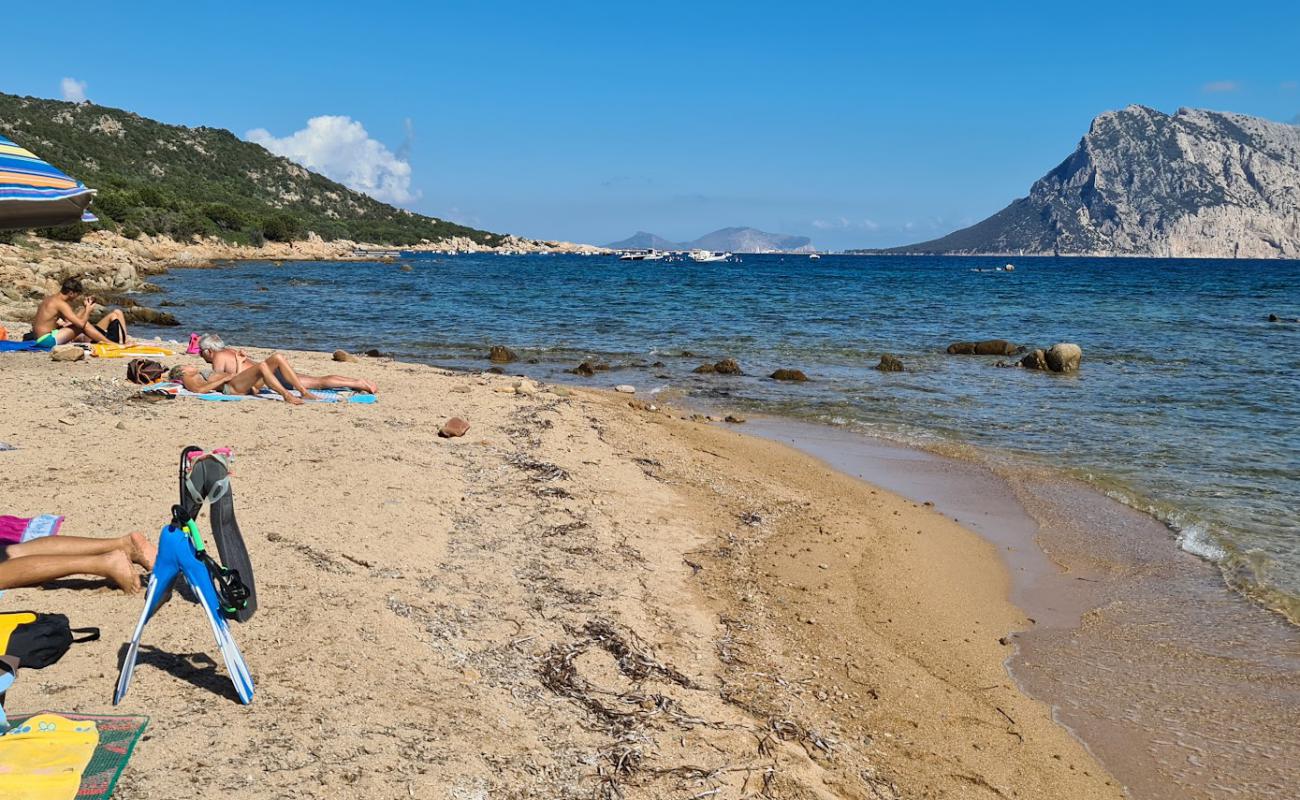 Foto af Cala Macchia Beach med lys sand overflade