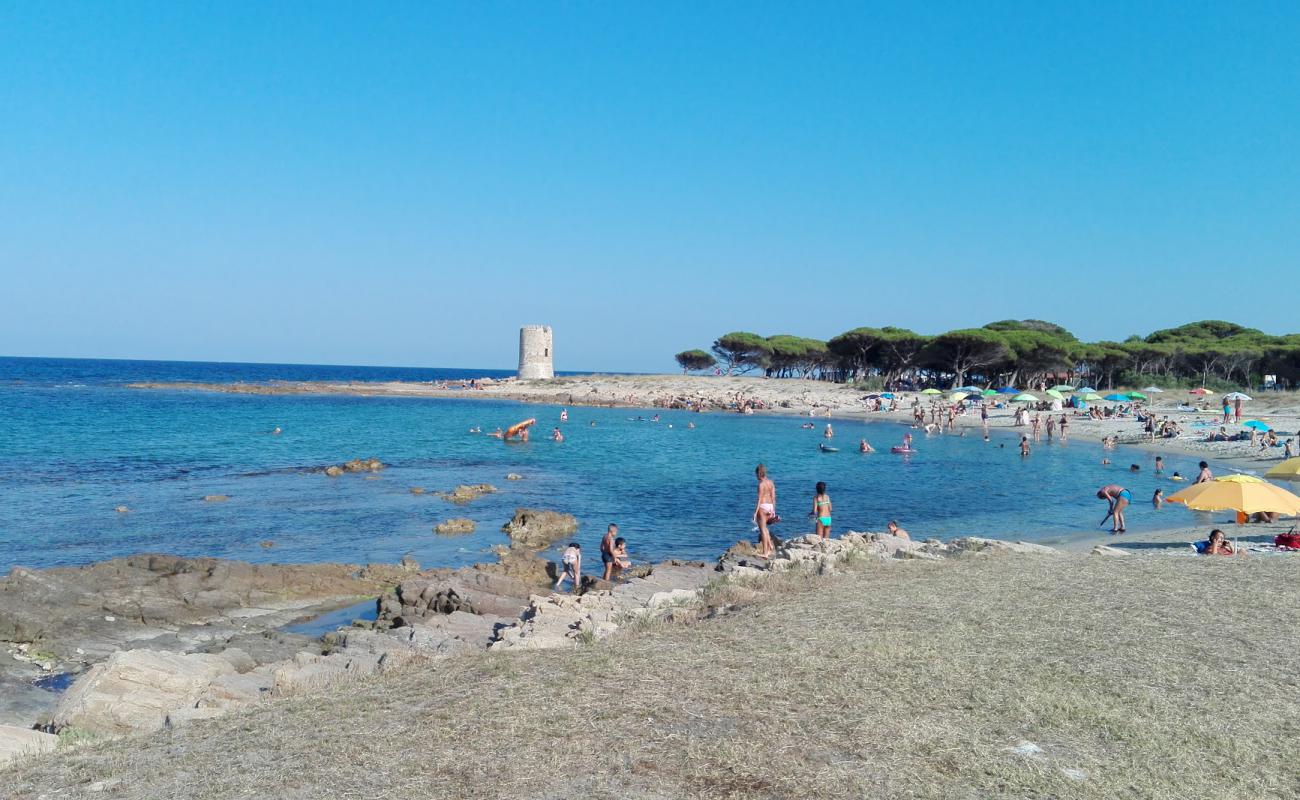 Foto af Spiaggia di Torre San Giovanni med lys sand overflade