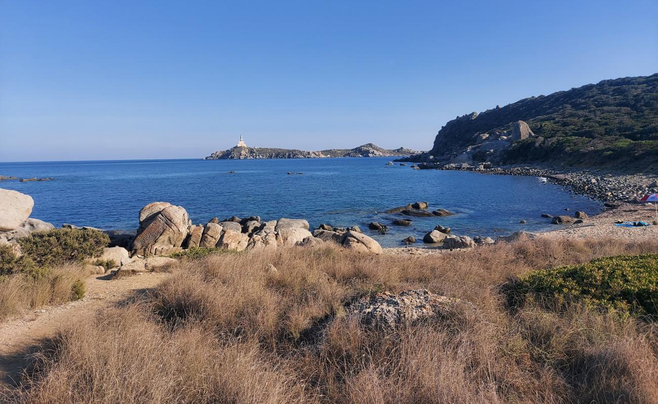 Foto af Spiaggia Cala Burroni med gråt sand og sten overflade