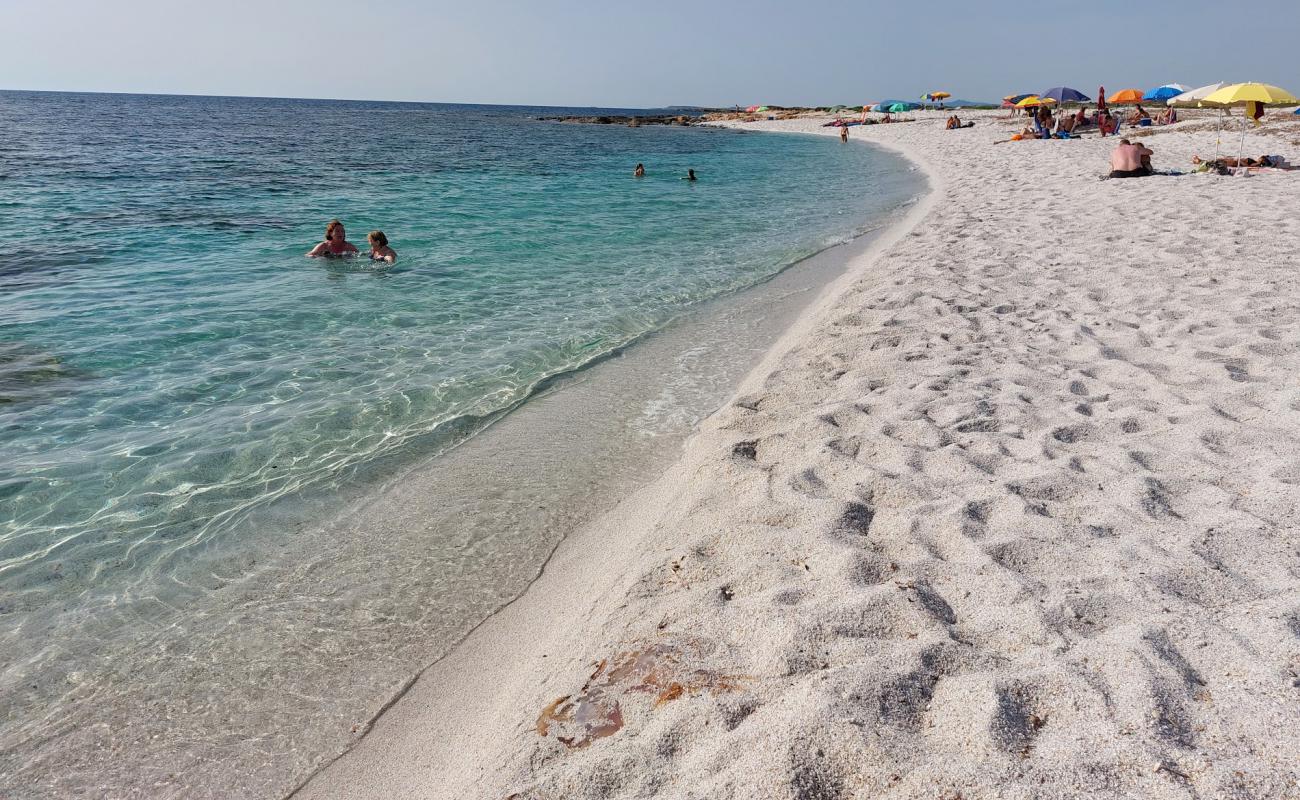 Foto af Spiaggia Corrighias med lys sand overflade