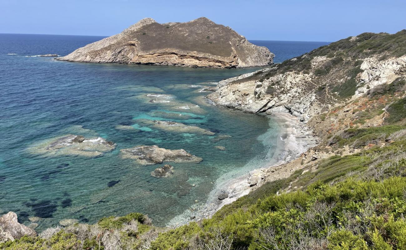 Foto af Spiaggia Isola dei Porri med let fin sten overflade