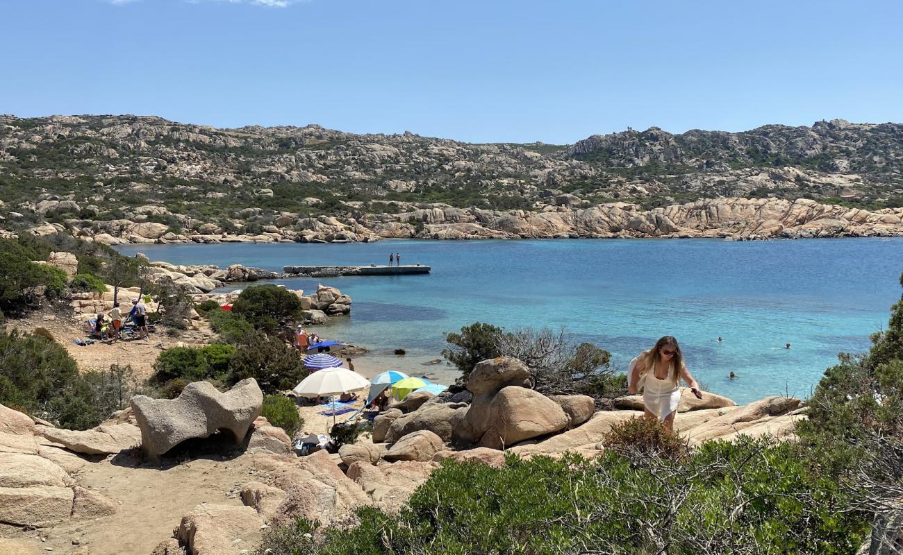 Foto af Cala Carlotto med lys sand overflade