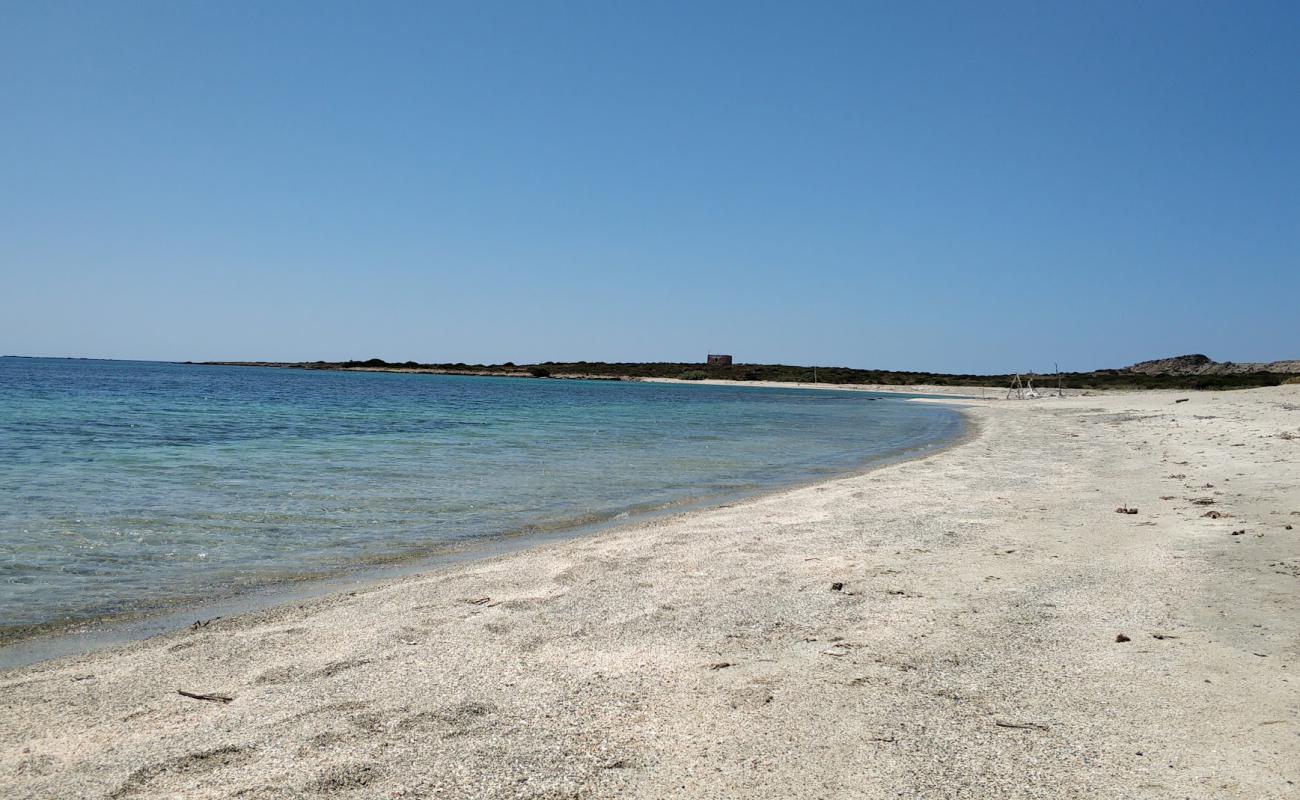 Foto af Spiaggia dello Spalmatore all'Asinara med let fin sten overflade