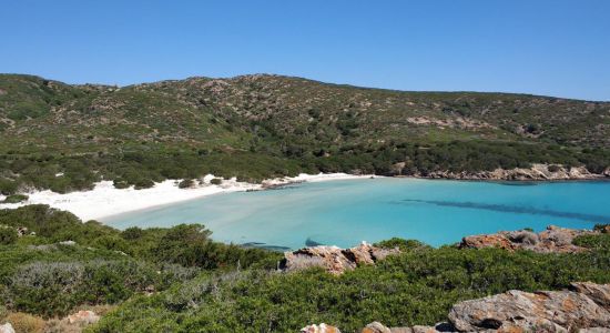 Spiaggia di Cala d'Arena