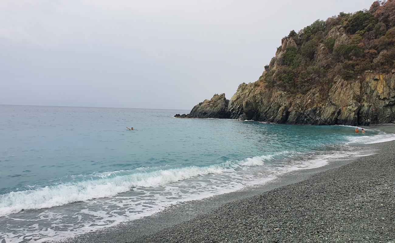 Foto af Spiaggia Arenon med grå fin sten overflade