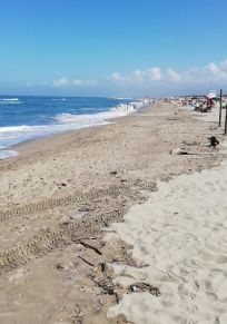 Marina di Vecchiano