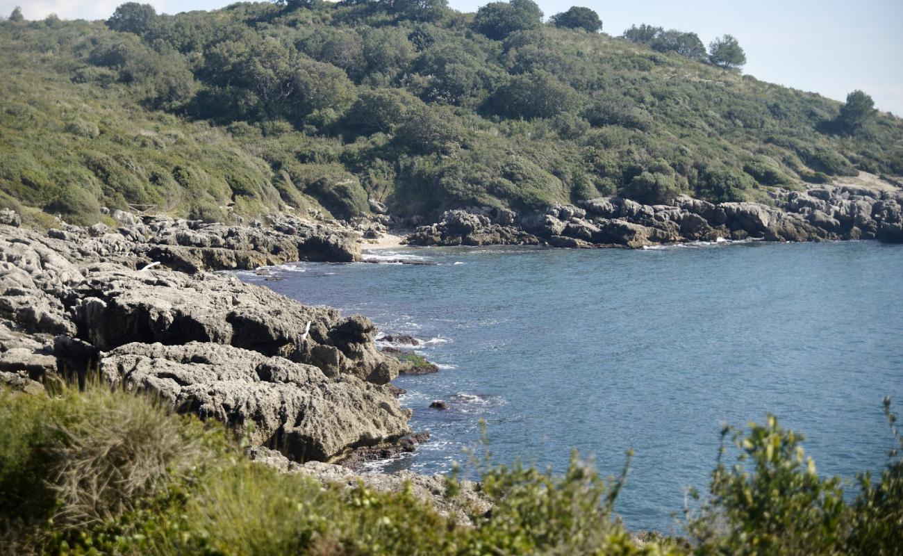 Foto af Spiaggia di Porto Cofaniello med let sten overflade