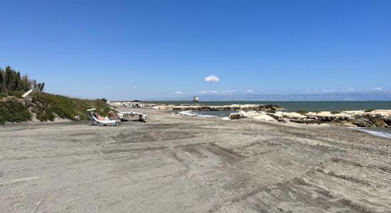 Lido Il Fenicottero Rosa Beach