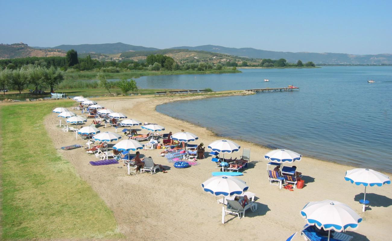 Foto af Spiaggia Badiaccia med lys sand overflade