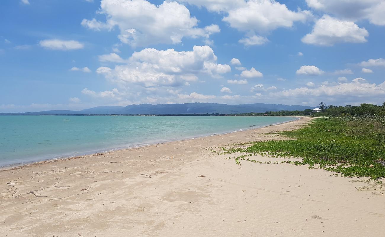 Foto af Parotee Free Beach med lys fint sand overflade