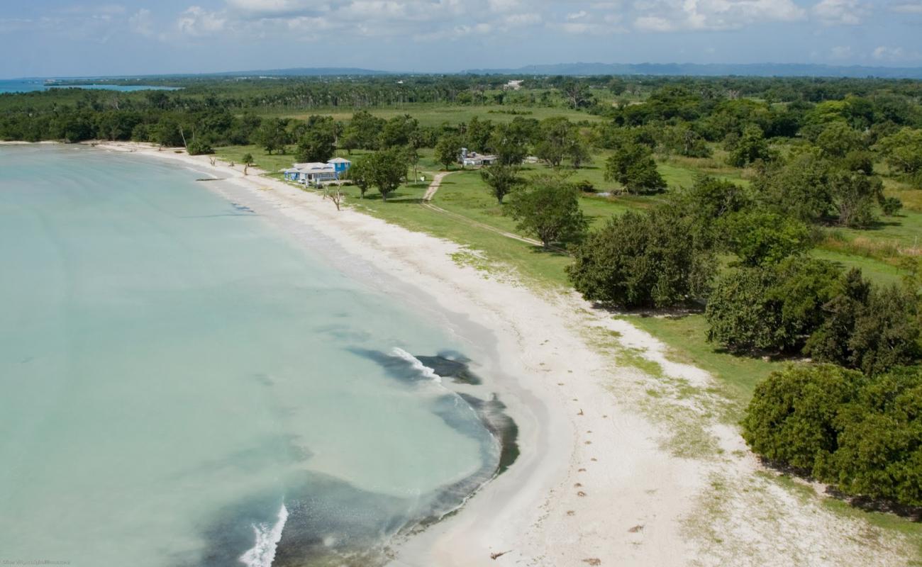 Foto af Westmoreland Parish Beach med lys sand overflade