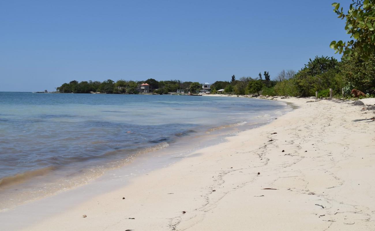 Foto af Little Bay med lys sand overflade