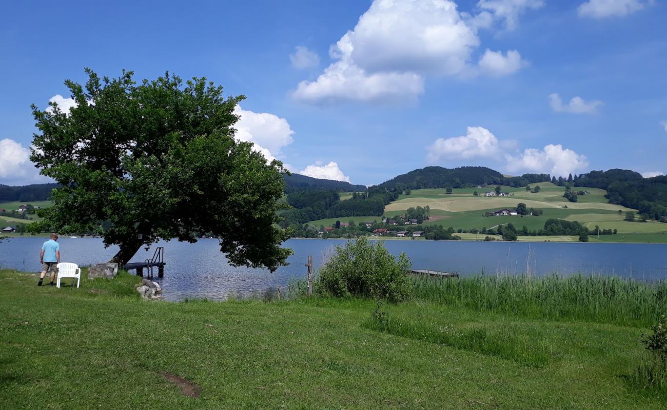 Foto af Campingplatz Fischhof med græs overflade