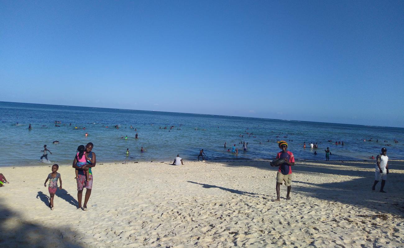 Foto af Shelly Beach med gråt fint sand overflade