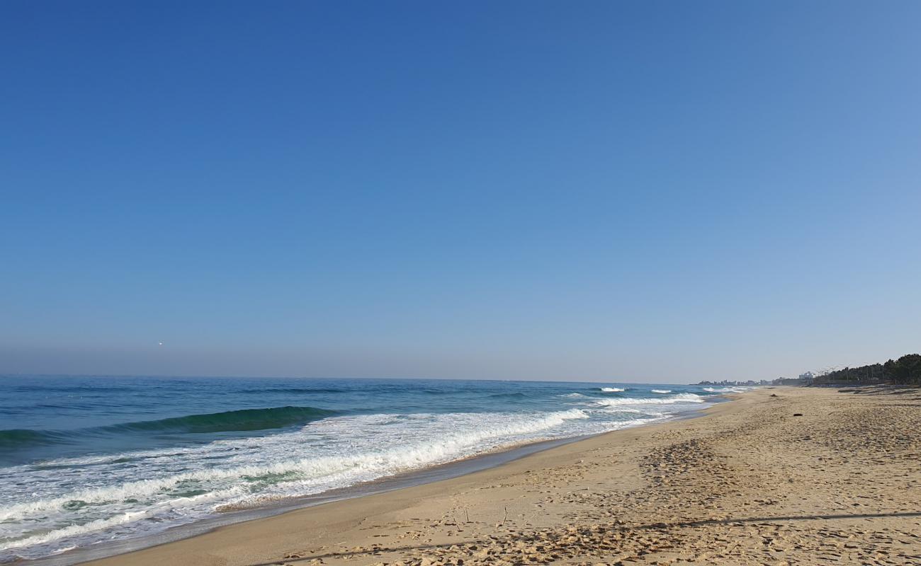 Foto af Wonpo Beach med lys sand overflade