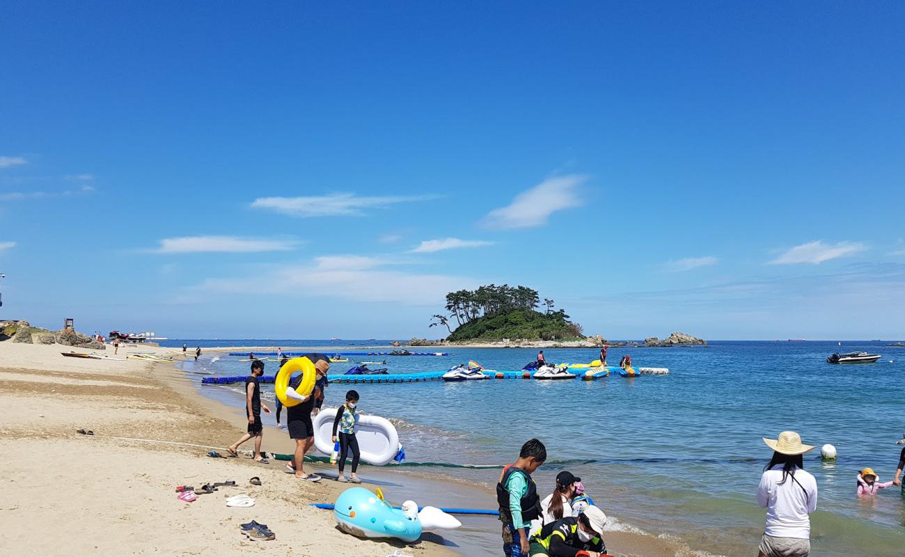 Foto af Jinha Beach med lys sand overflade