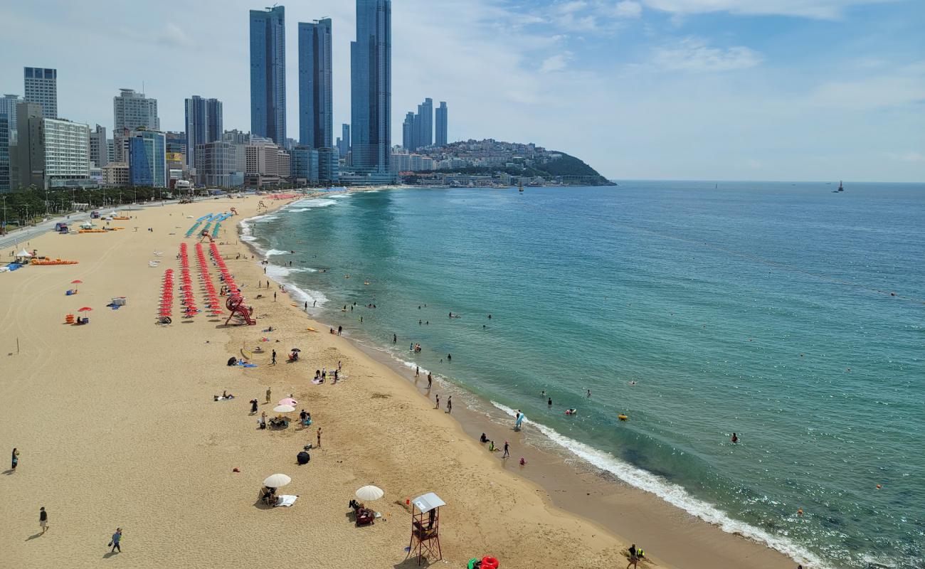 Foto af Haeundae Strand med lys fint sand overflade