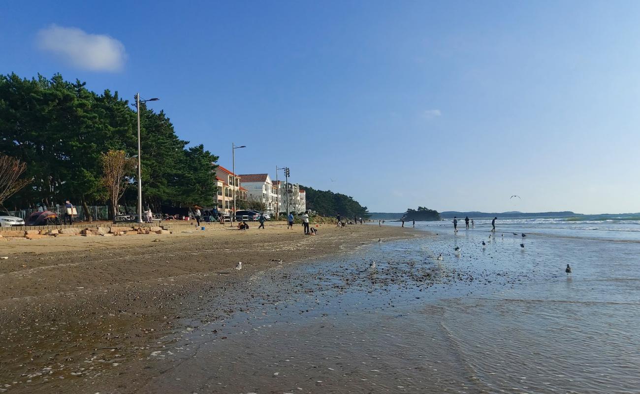 Foto af Dalsanpo Beach med lys sand overflade