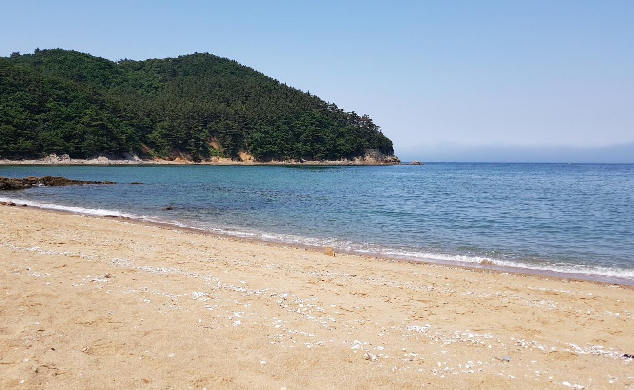 Foto af Paengnipo Beach med lys sand overflade