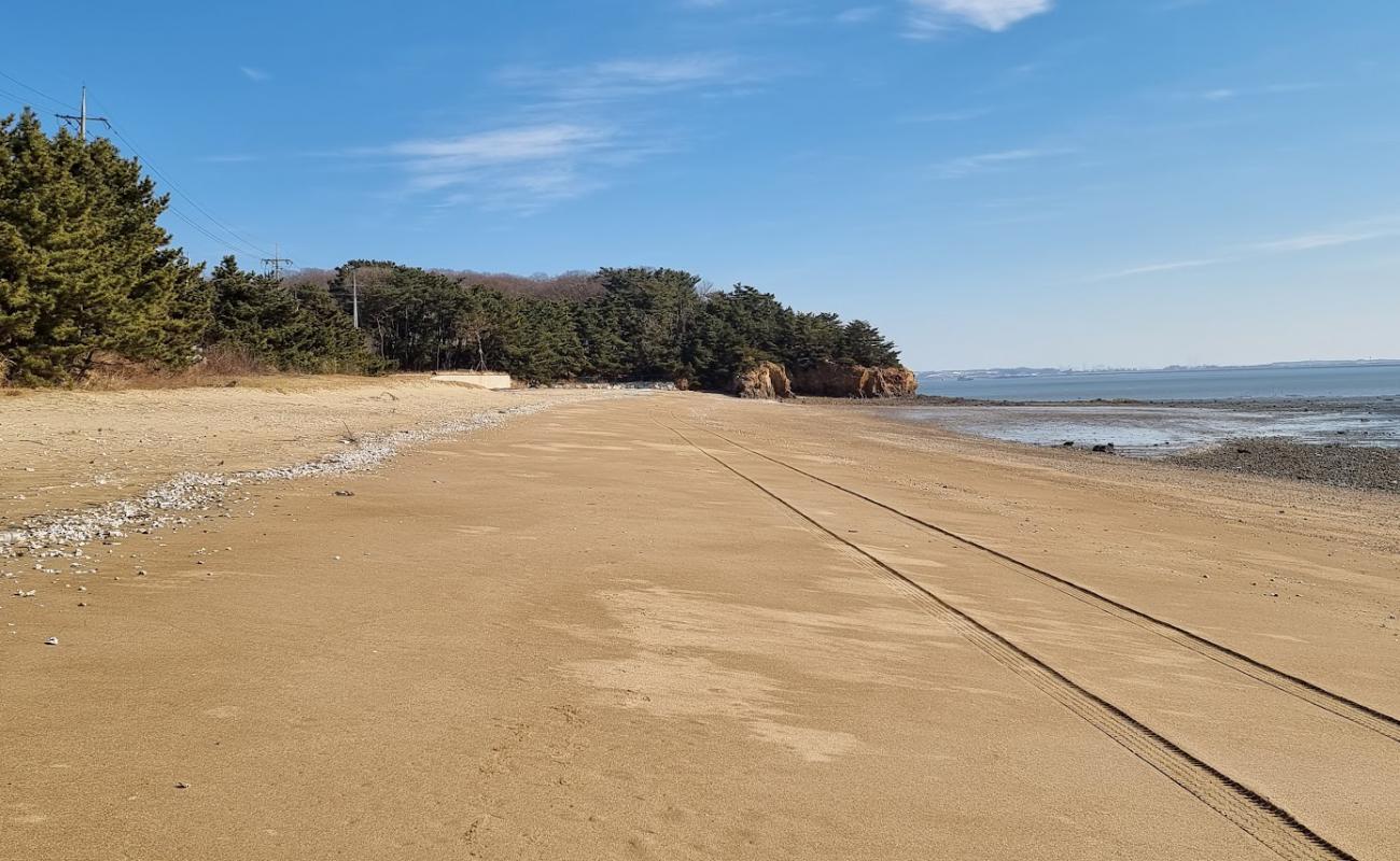 Foto af Ongam Beach med lys sand overflade