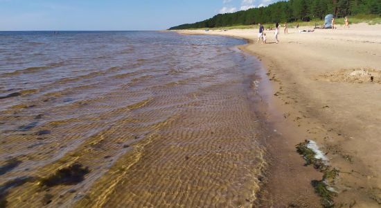 Salacgrivas beach