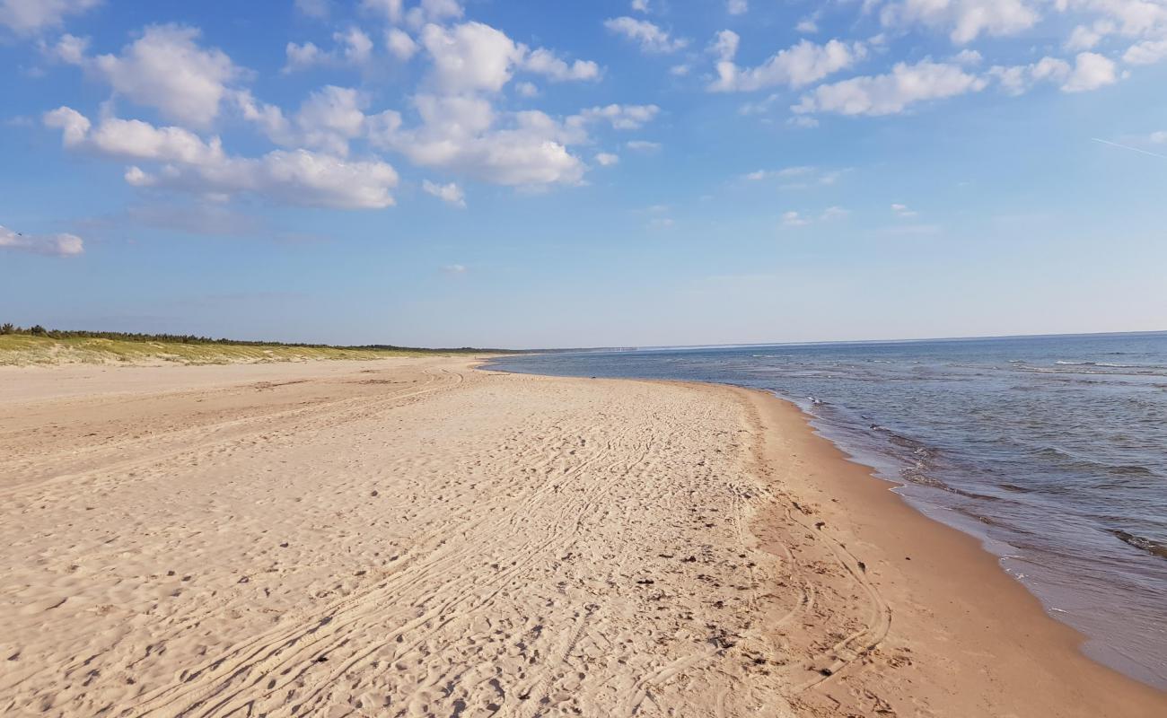 Foto af Sventosios naturist beach med lys fint sand overflade