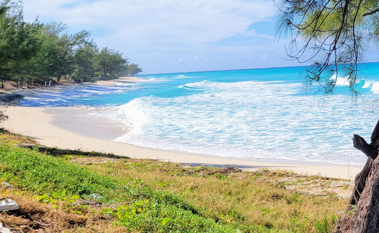 Foto af Alice Town beach med lys sand overflade