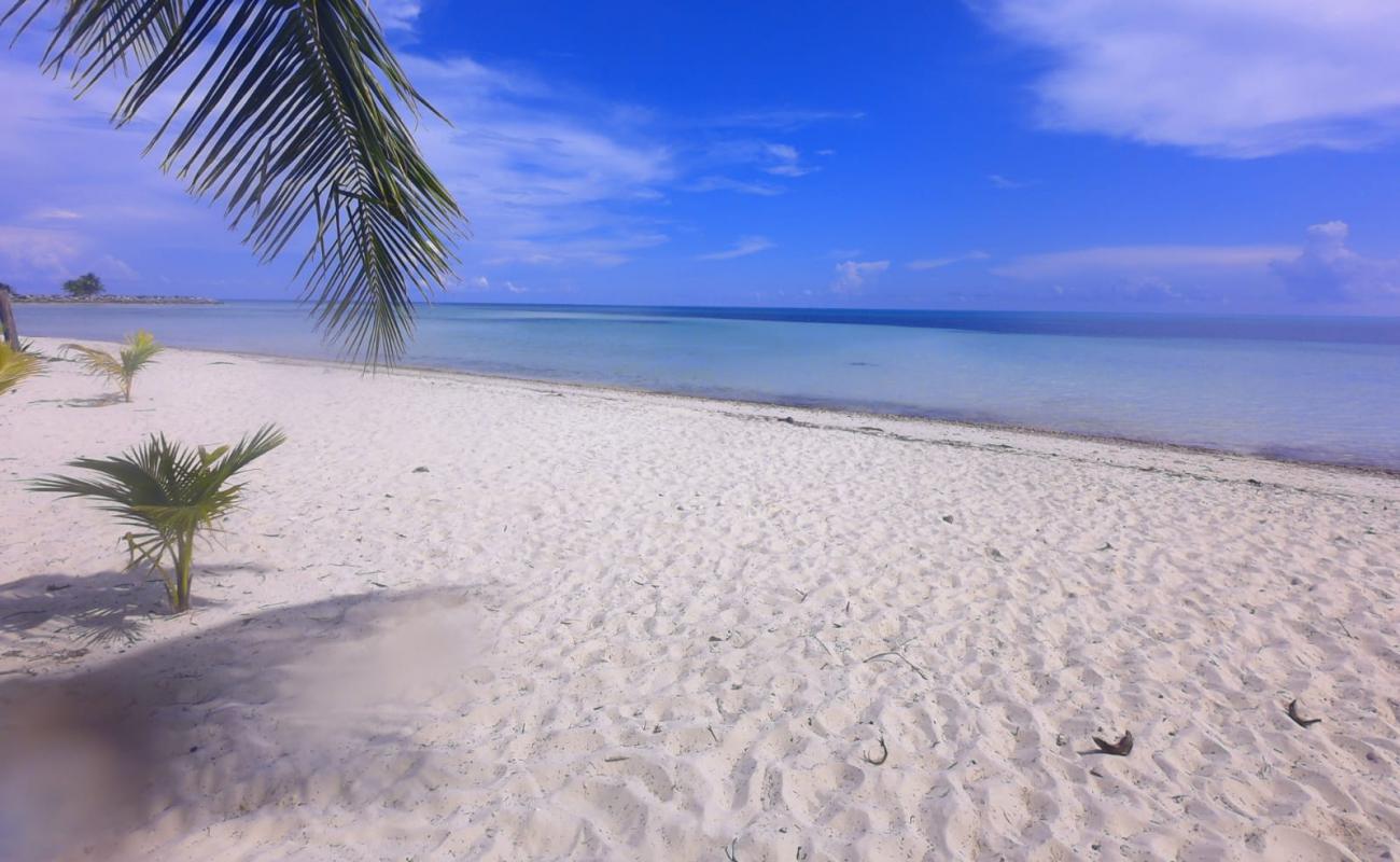 Foto af Barbary beach med lys fint sand overflade