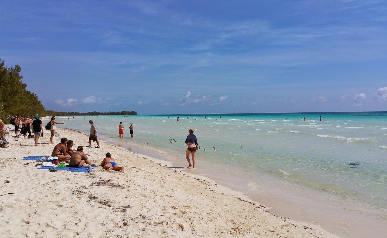 Foto af Gold Rock beach med lys fint sand overflade