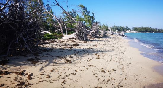 Yamacraw beach