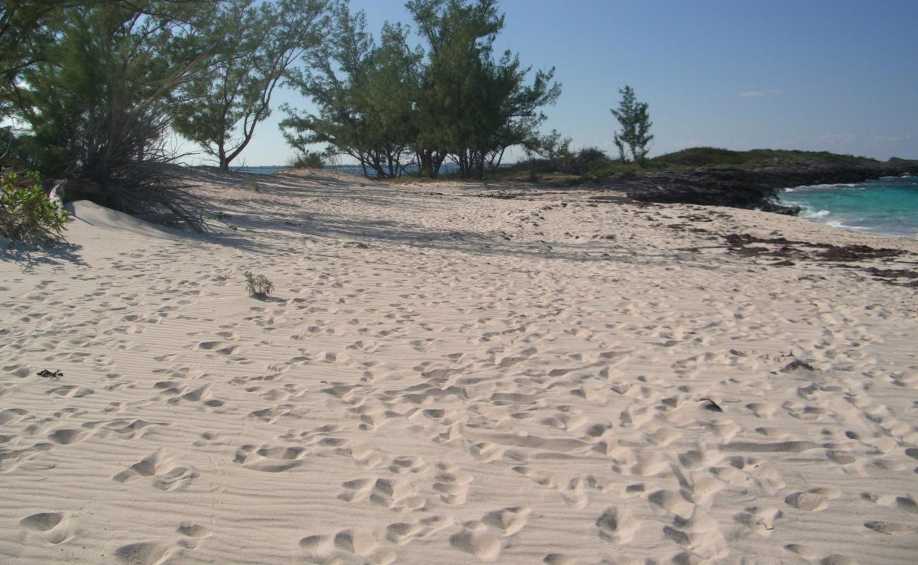 Foto af Rose Island beach med lyst sand & sten overflade