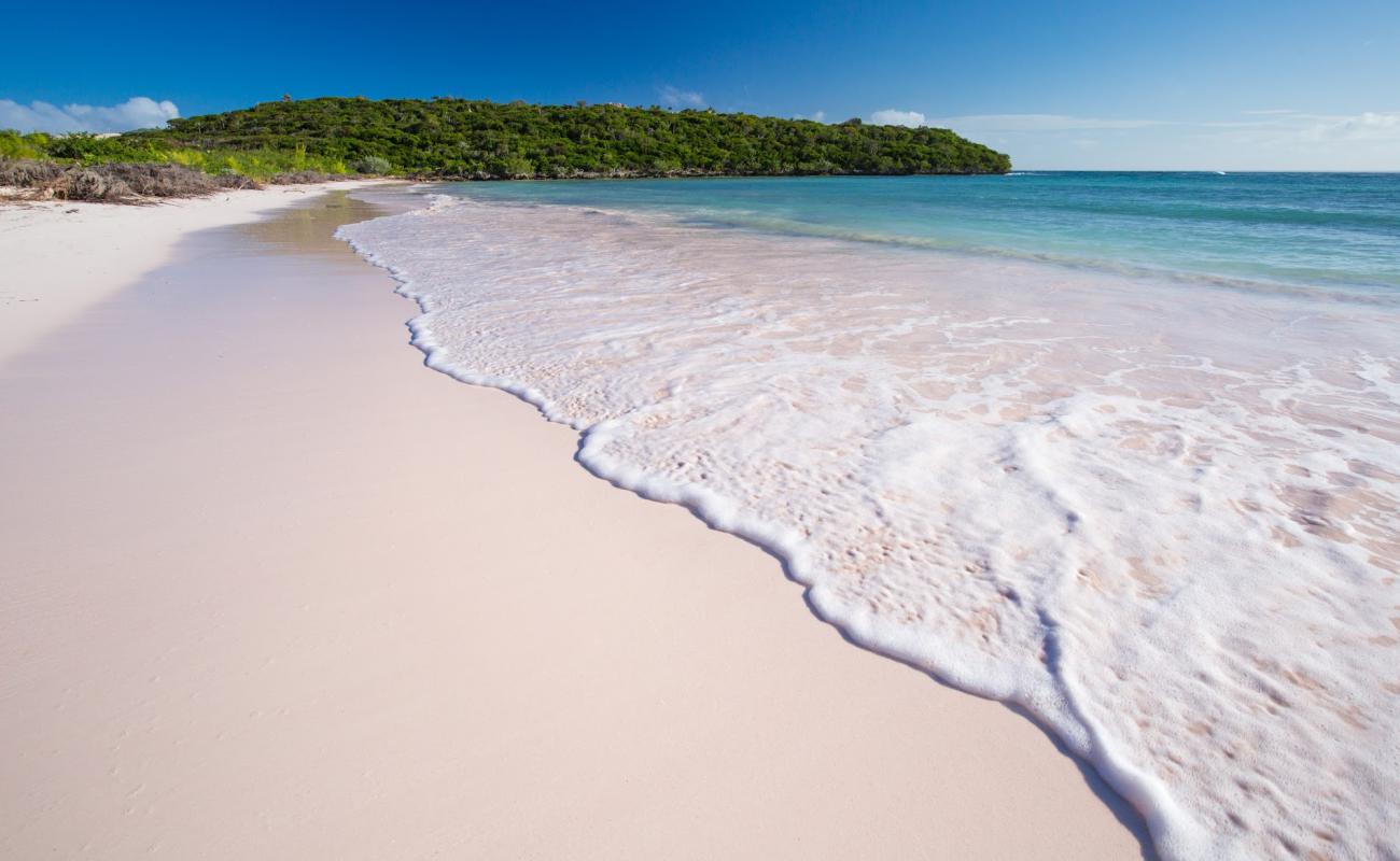 Foto af Cotton Bay beach med lys fint sand overflade