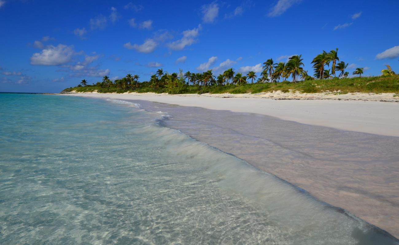 Foto af Winding Bay beach med lys fint sand overflade