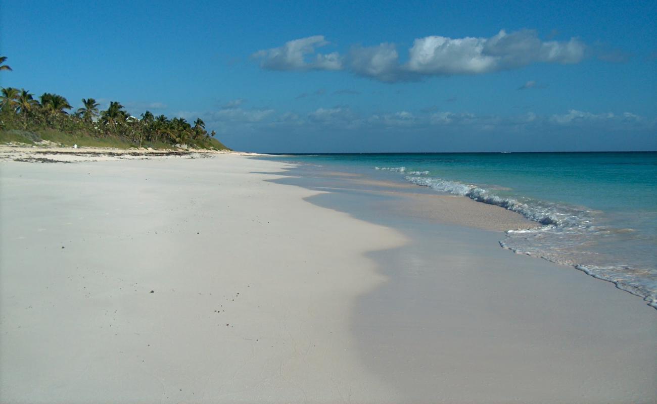 Foto af Double Bay beach med lys fint sand overflade