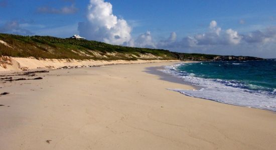 Crow's Nest beach