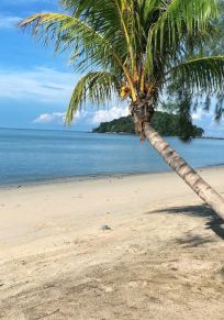 Teluk Burau