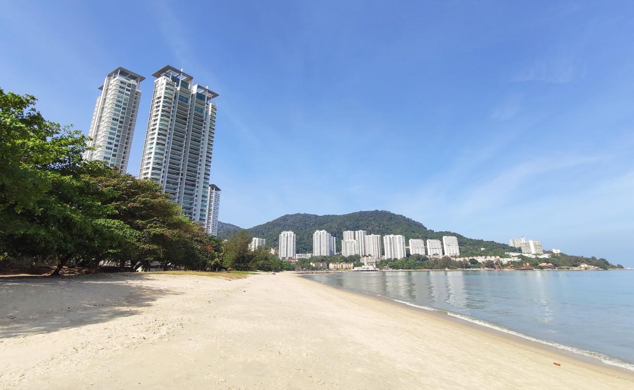 Foto af Tanjung Bungah Beach med lys sand overflade