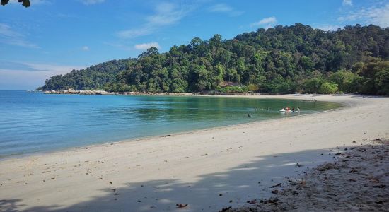 Teluk Nipah Coral Beach