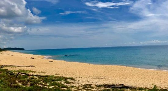 Pantai Teluk Bidara