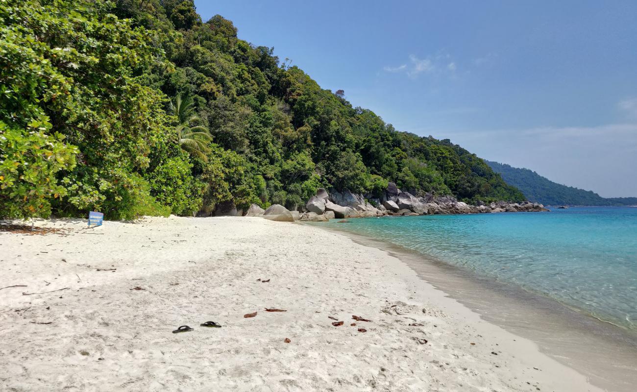 Foto af Skildpadde Strand med lys sand overflade