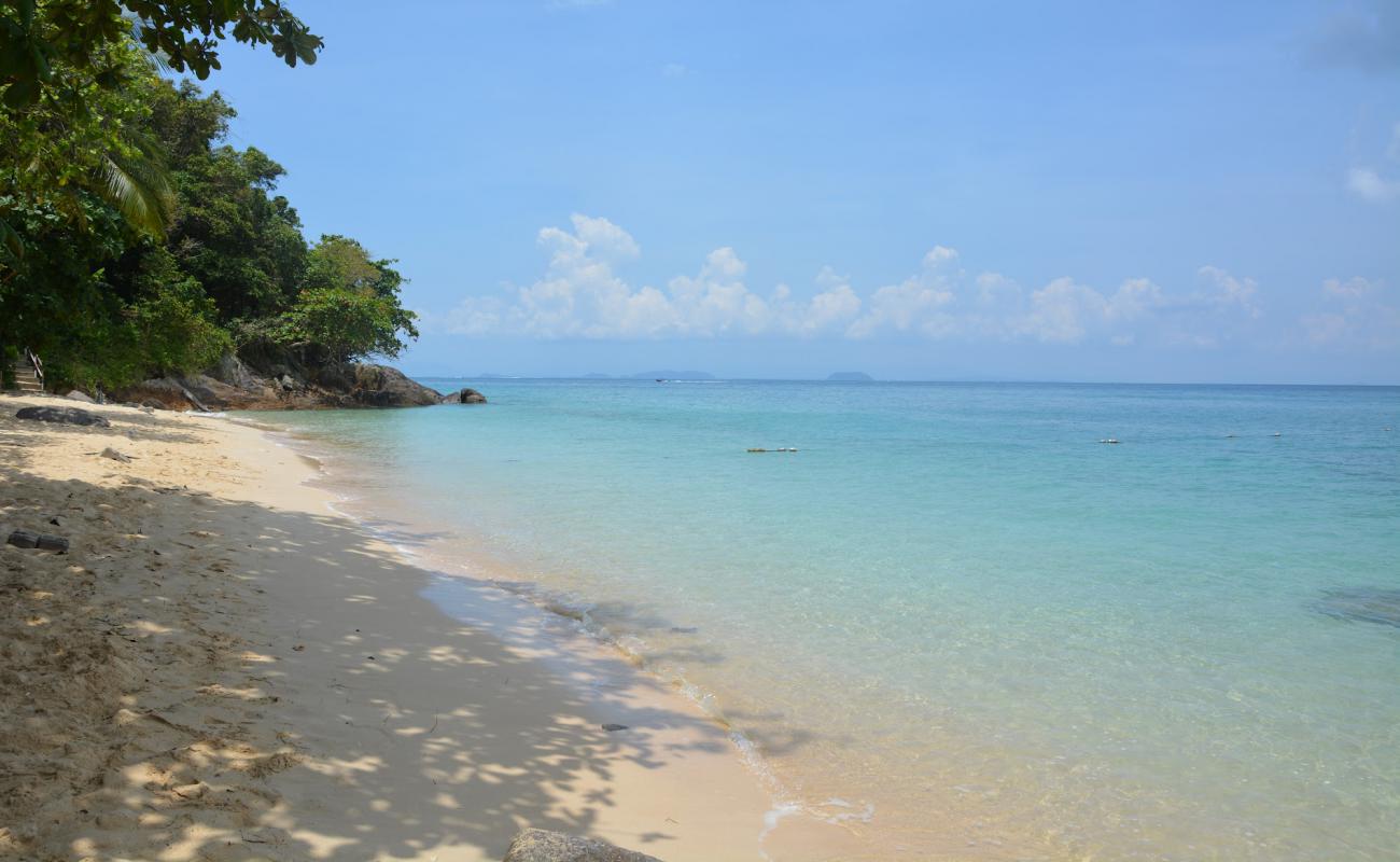 Foto af Rainforest Beach med lys sand overflade