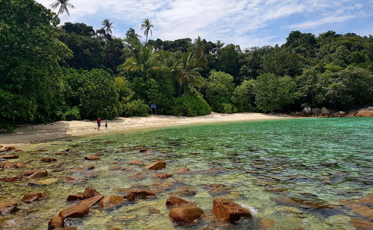 Foto af Adam and Eve Beach med lys sand overflade